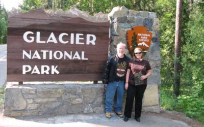 Black Bears & More Glacier National Park