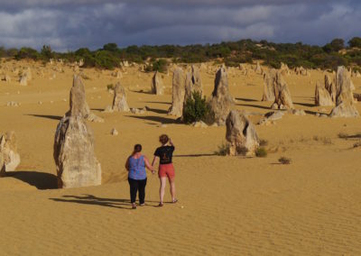 Friends The Pinnacles National Park