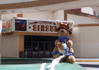 Kanga at Reno