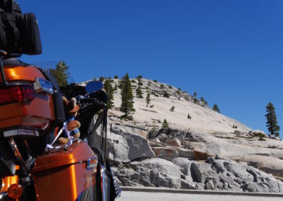 Kanga riding Tioga Pass