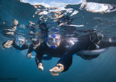Learning to snorkel